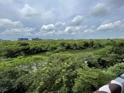 Kingsford Waterbay (D19), Apartment #579045901